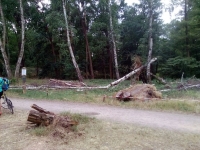 03_ergebnis