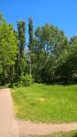 WP_20170527_13_31_11_Pro_ergebnis