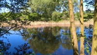 WP_20170527_14_18_24_Pro_ergebnis