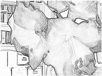 08