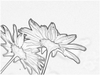 09