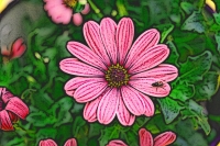 Blumen_090-900