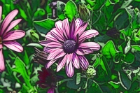 Blumen_093-900