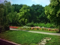 PICT0081