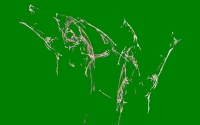 Fraktal99