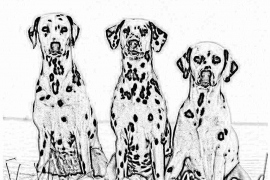 Hunde (Zeichnungen)