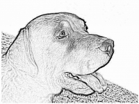 06
