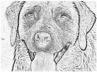 09