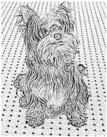 10