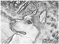 61